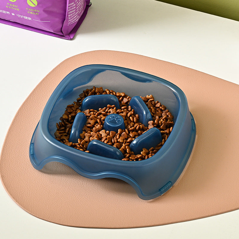 Pet Water Feeder Bowl