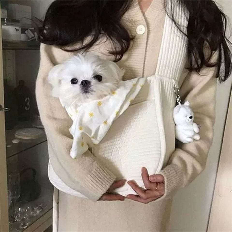 Outdoor Travel Breathable Pet Carrier