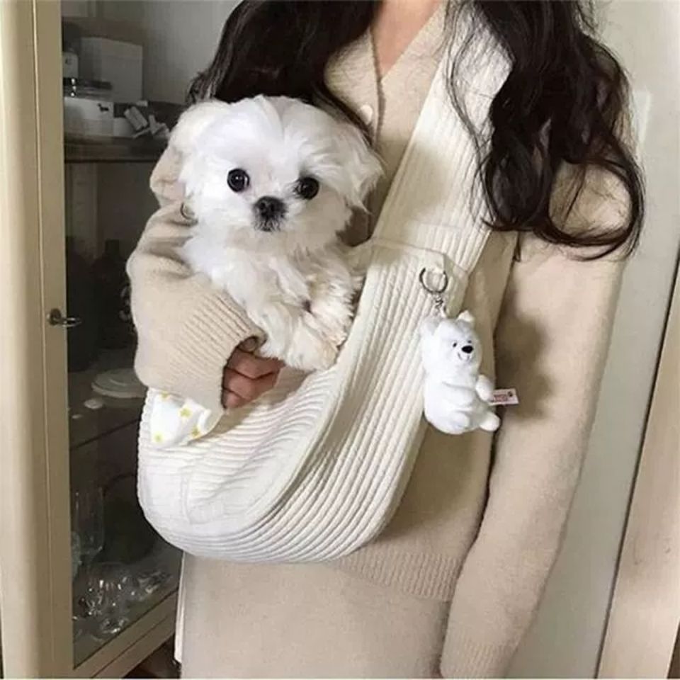 Outdoor Travel Breathable Pet Carrier