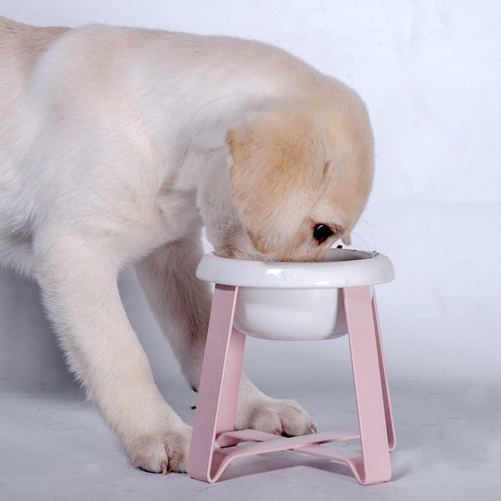 Pet Creative Antislipn Feeding Bowl