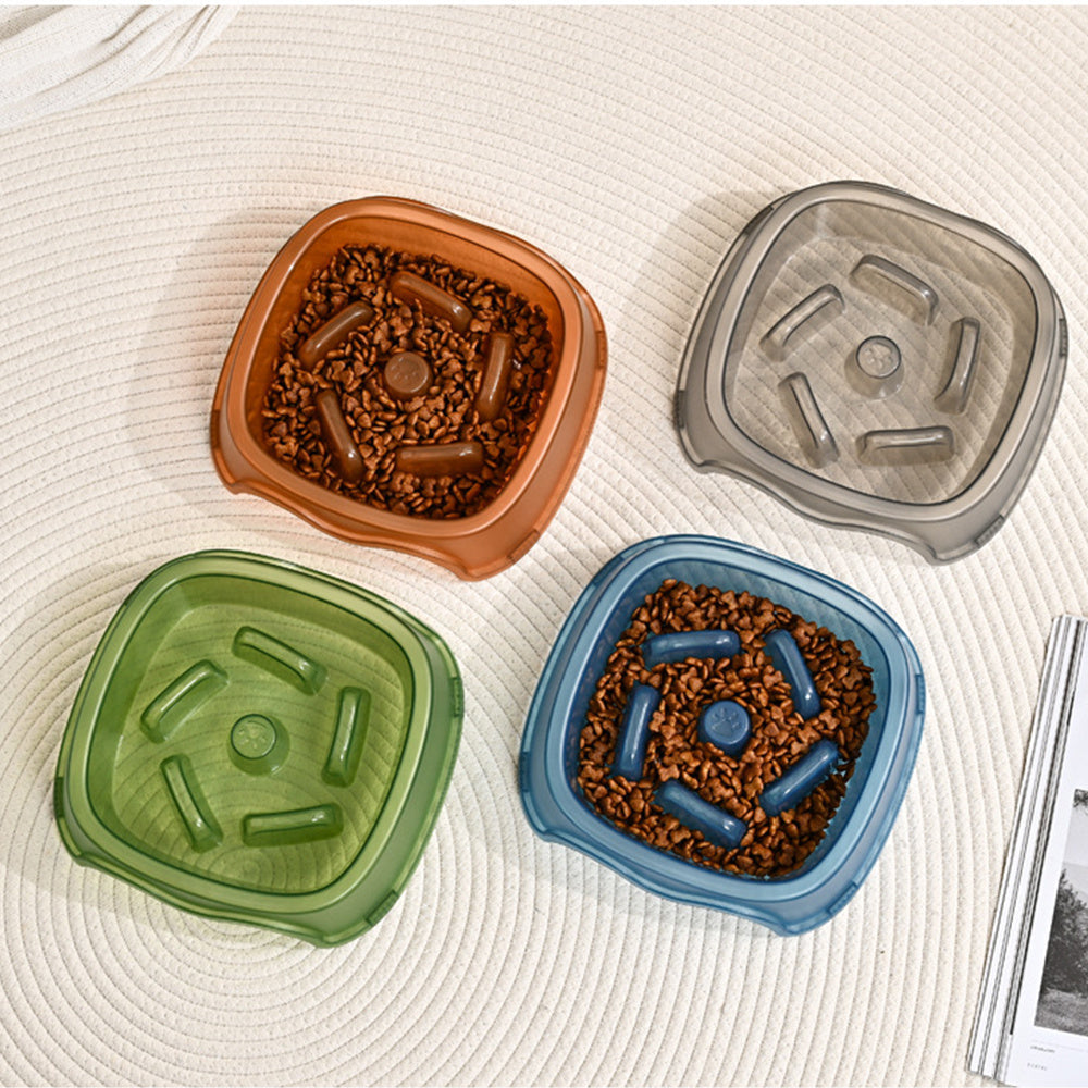 Pet Water Feeder Bowl