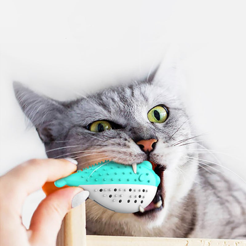 Cat Teaser Toothbrush Pet Chew Toys