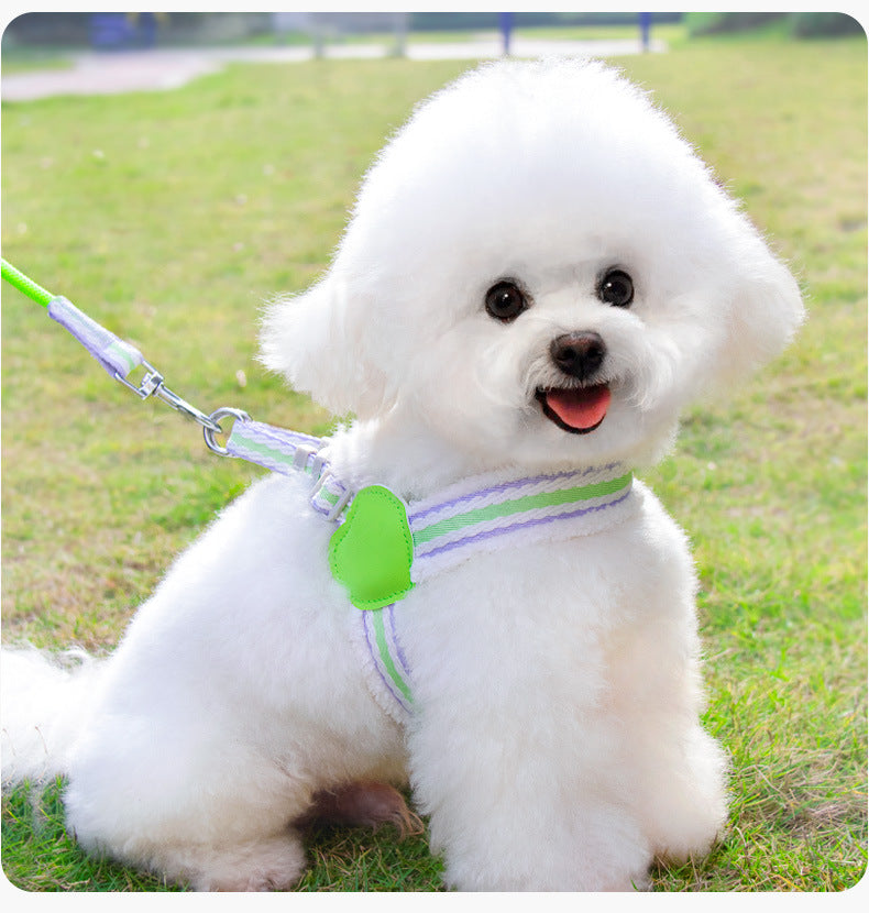 Breathable Walking Dog Leash