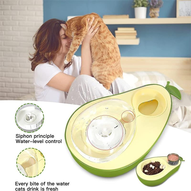 Automatic Drinking Pet Feeder
