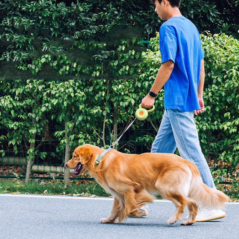 Retractable Pet Leash