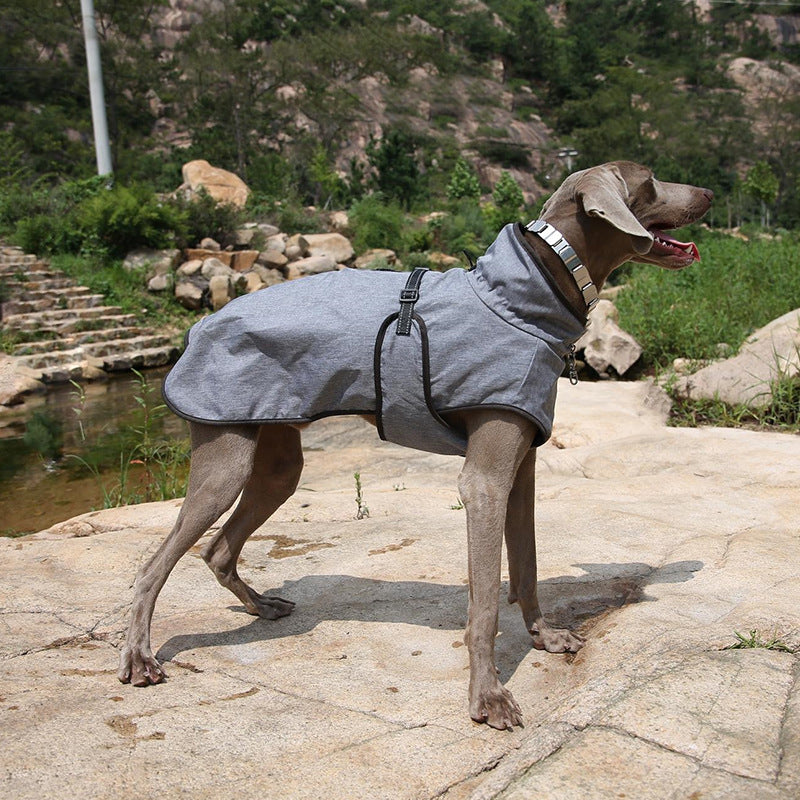 Pet Shell Outdoor Jacket