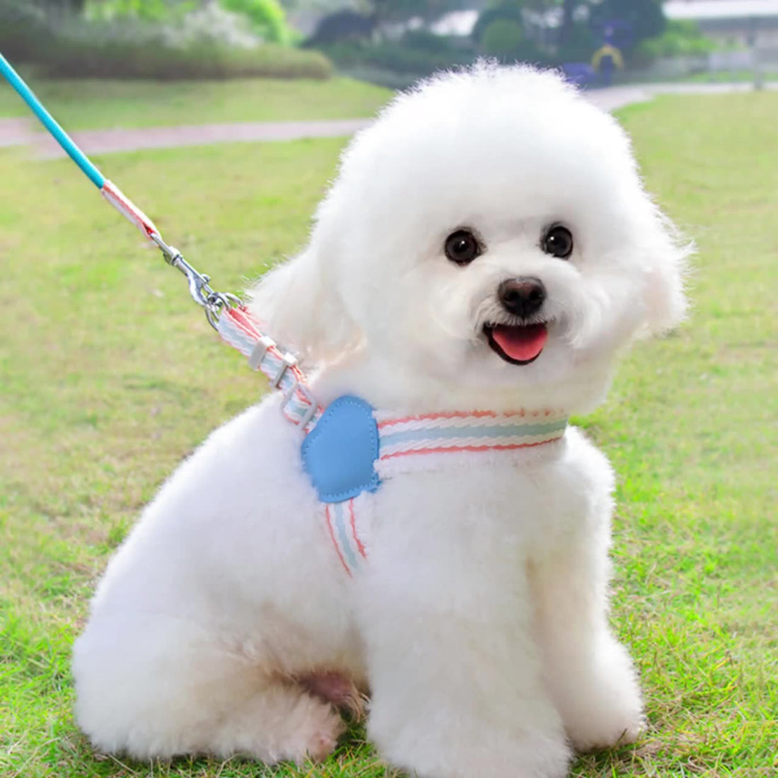 Breathable Walking Dog Leash
