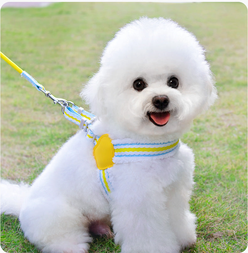Breathable Walking Dog Leash