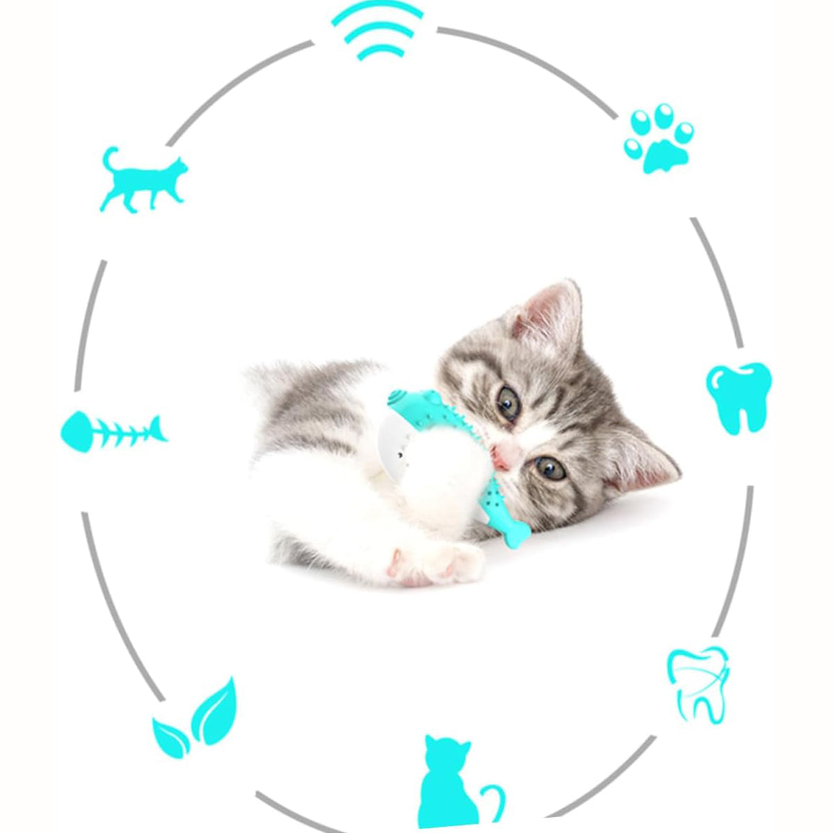 Cat Teaser Toothbrush Pet Chew Toys
