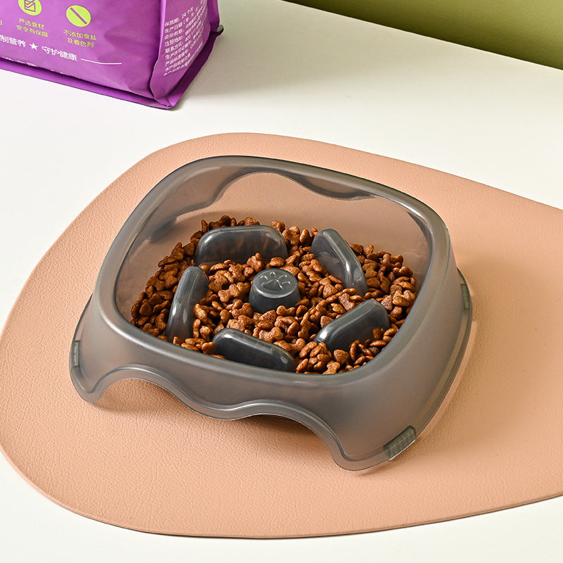 Pet Water Feeder Bowl