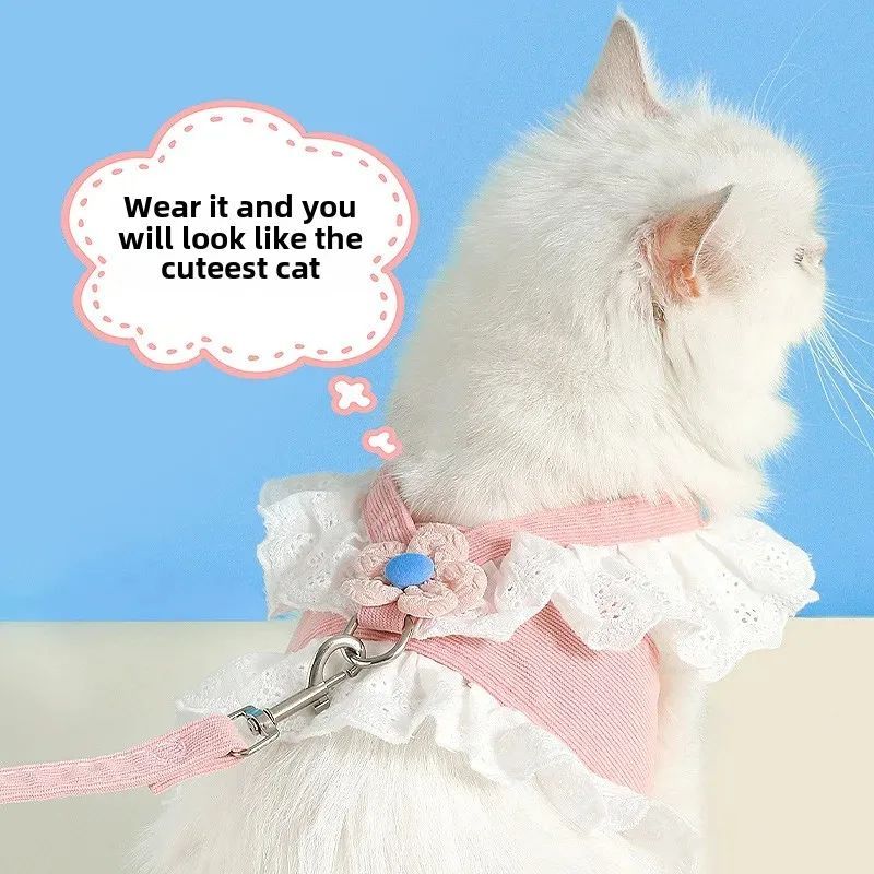 Summer Walking Leash Special For Puppies