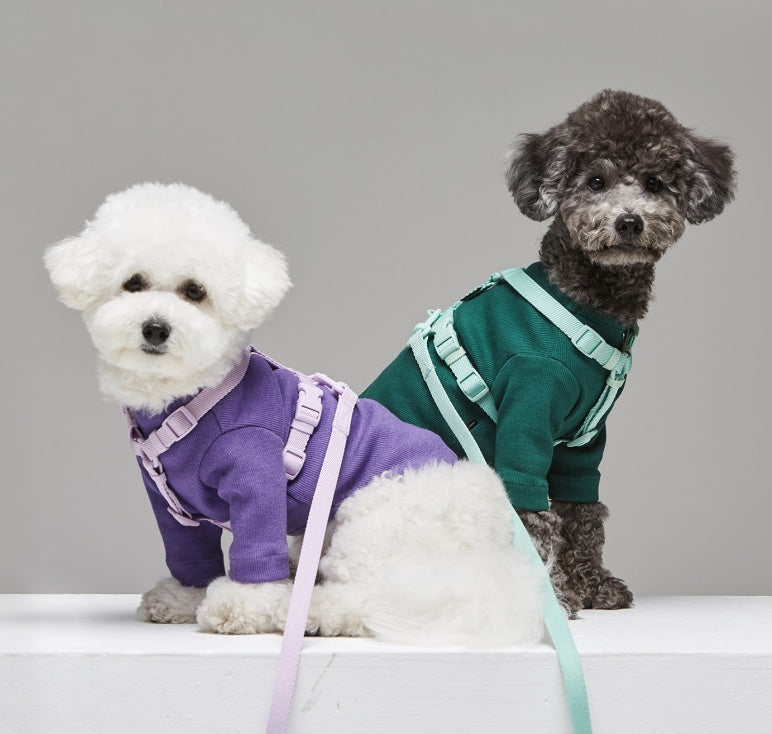 Pet Macaron Ins Wind Leash