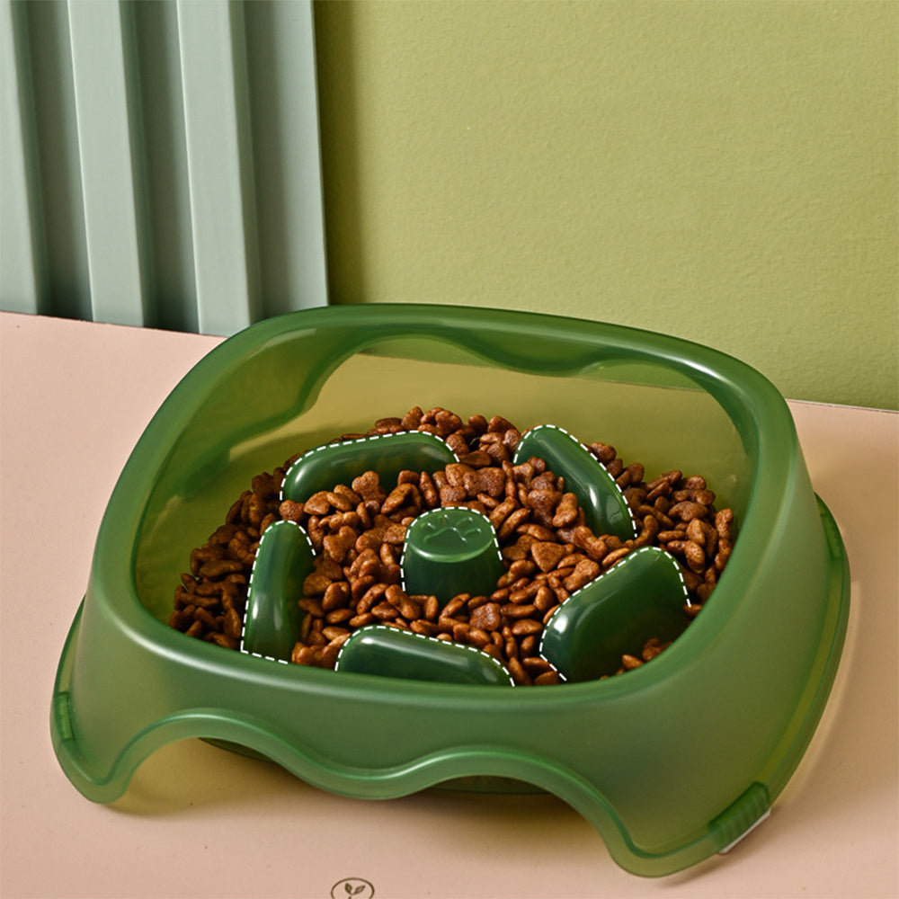 Pet Water Feeder Bowl
