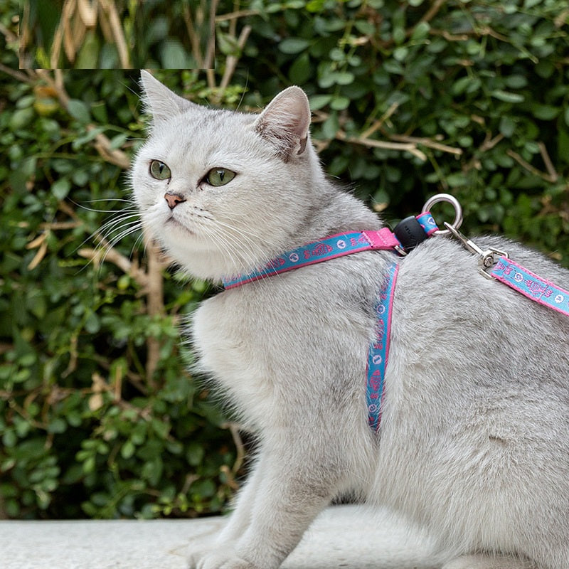 Pet Cat Bell Chest Strap Haulage Leash