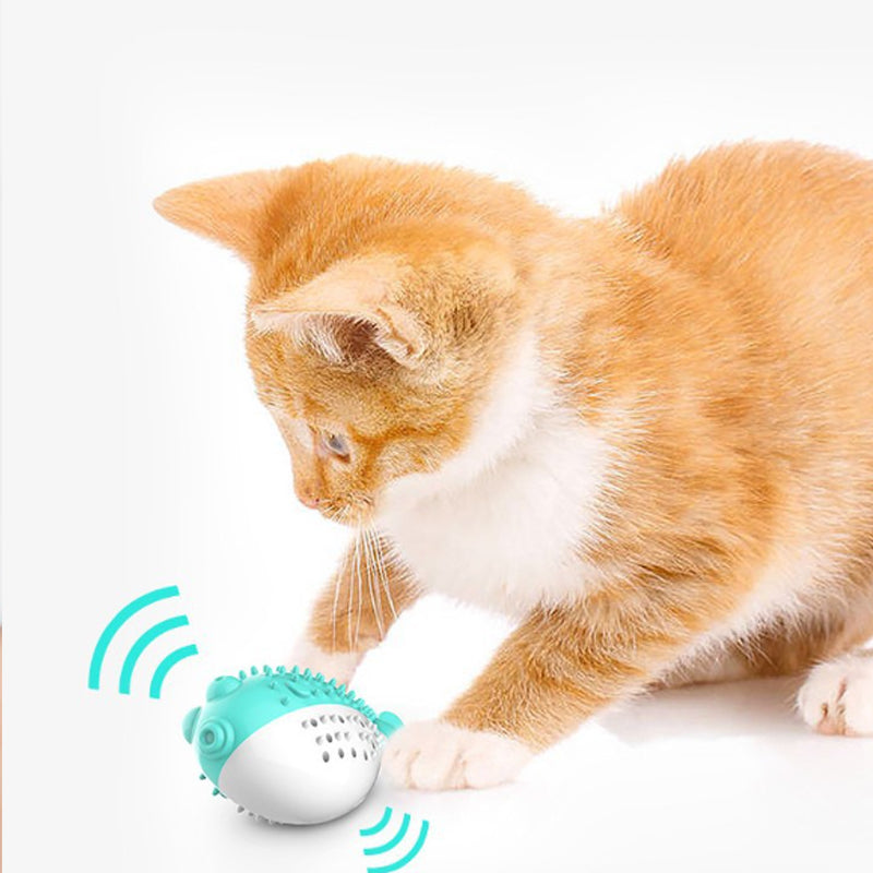 Cat Teaser Toothbrush Pet Chew Toys