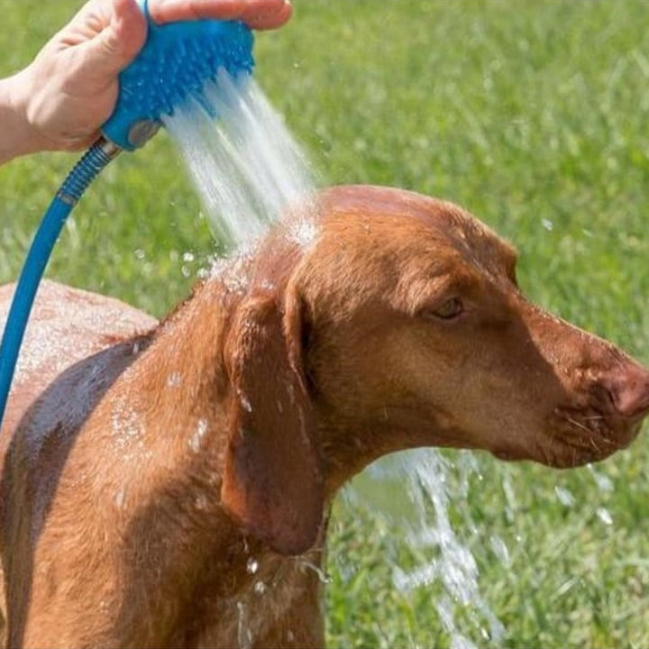 Pet Outdoor Shower Bath Shower Brush