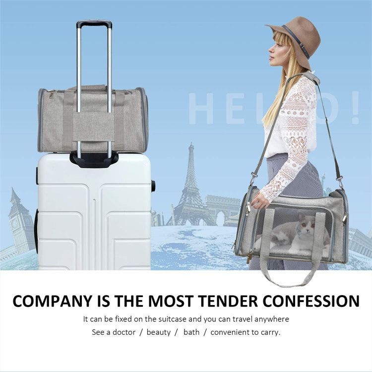 Pet Portable Foldable Hand-held Carrier