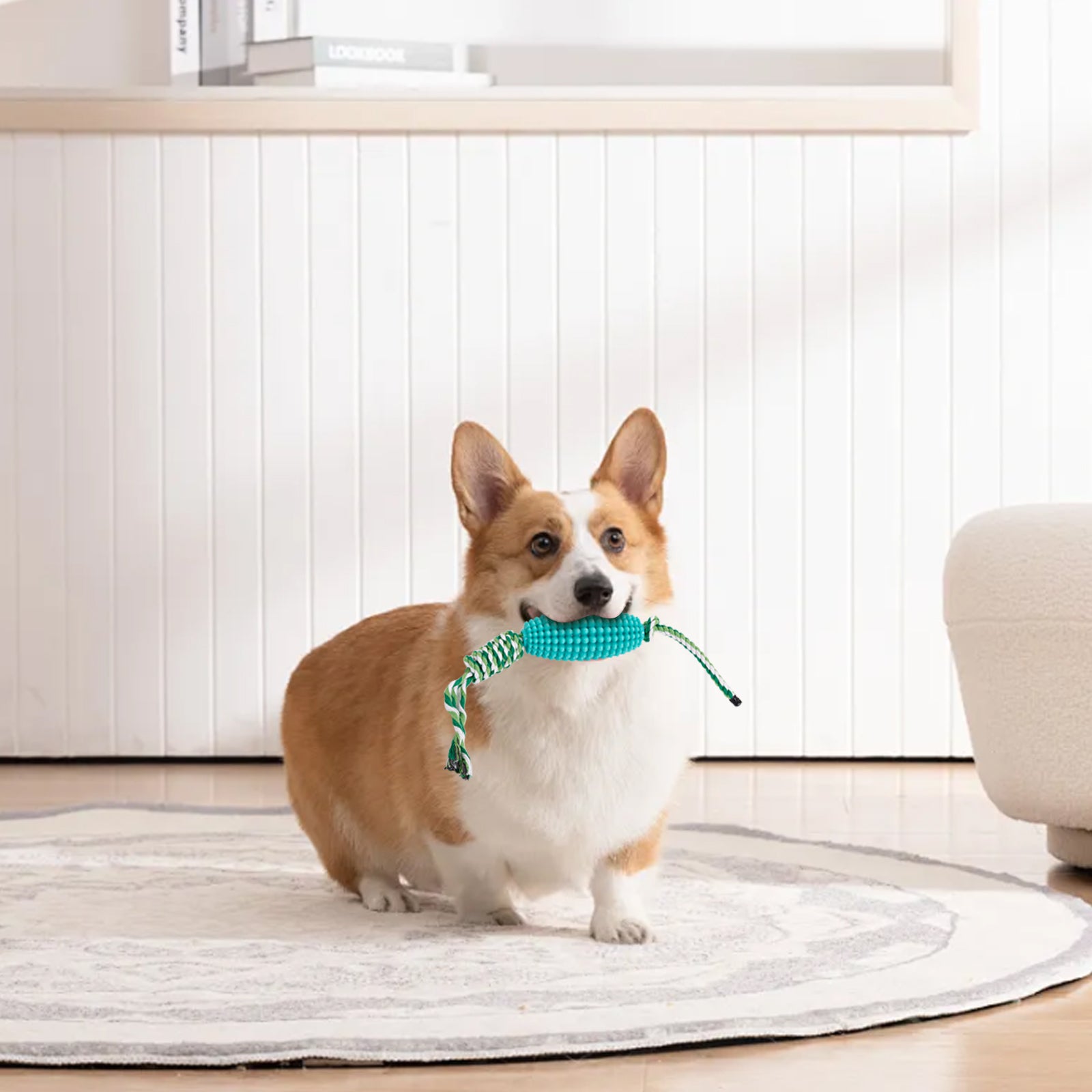 Puppy Interactive Corn Toys