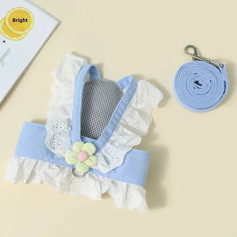 Summer Walking Leash Special For Puppies