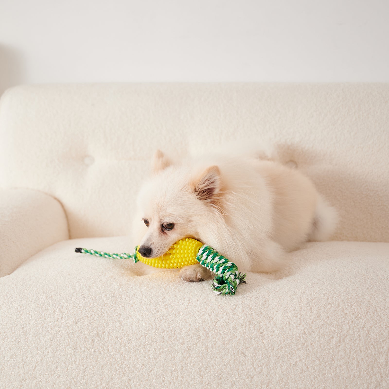 Puppy Interactive Corn Toys