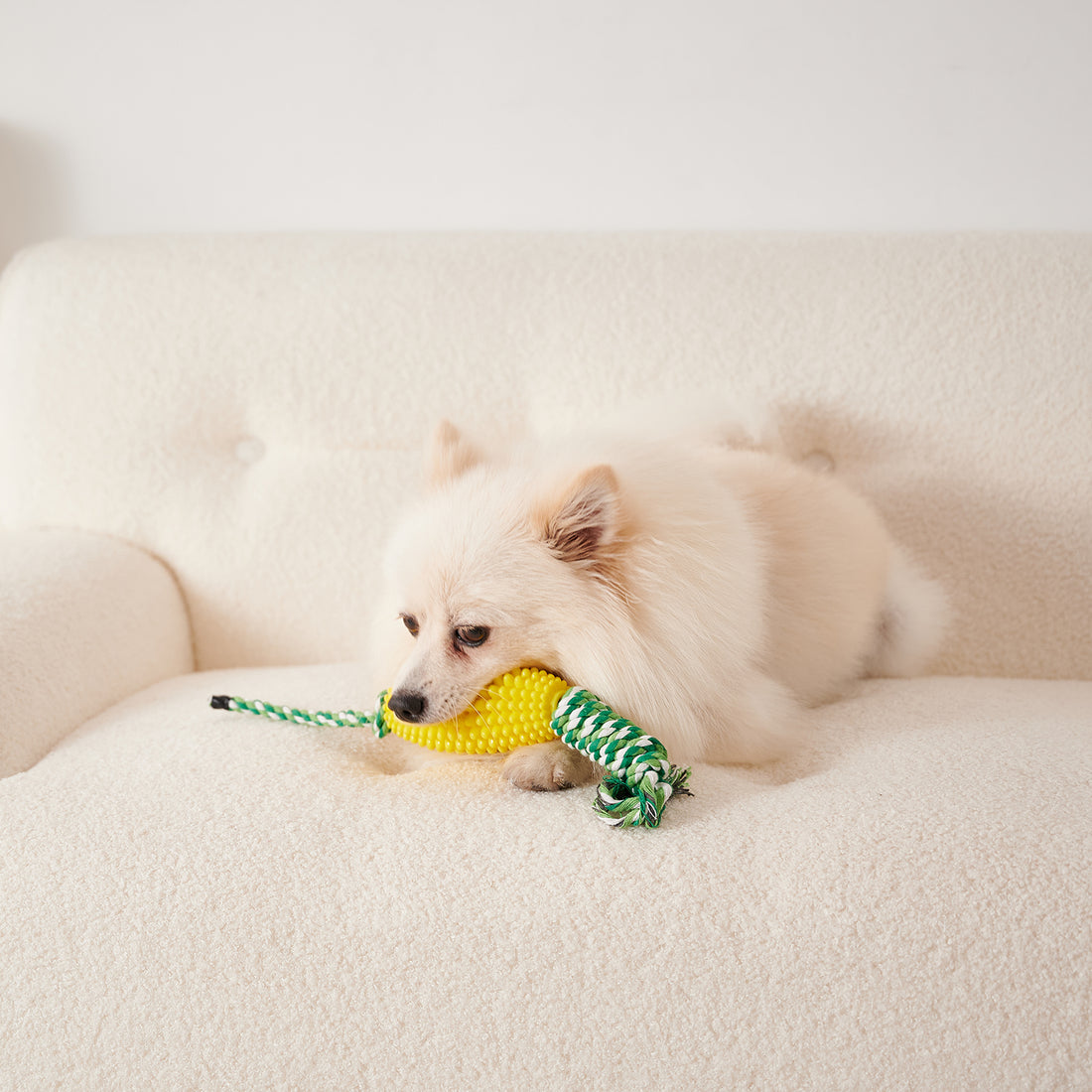 Puppy Interactive Corn Toys