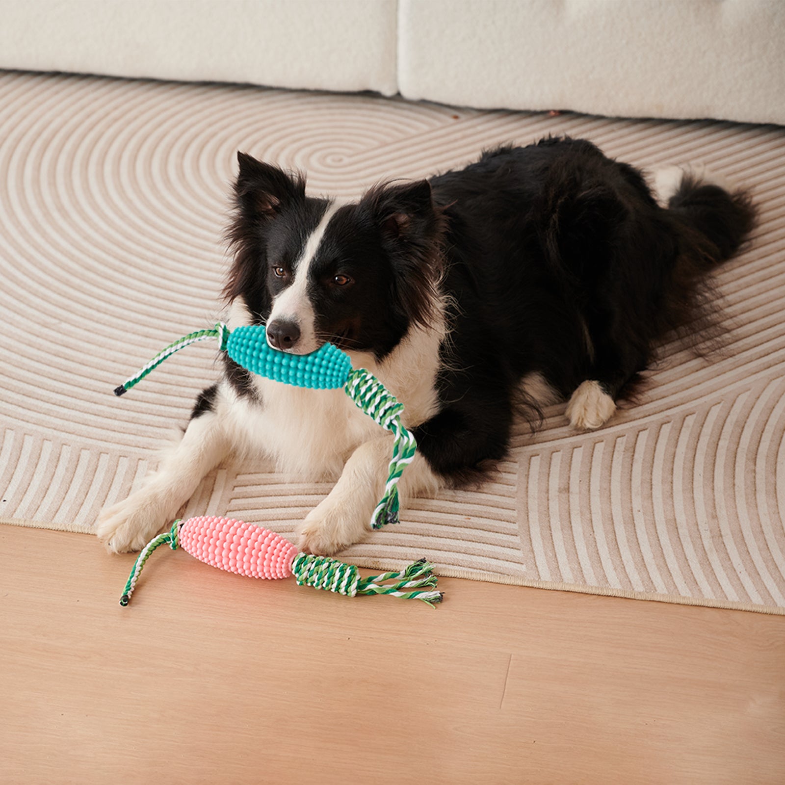 Puppy Interactive Corn Toys