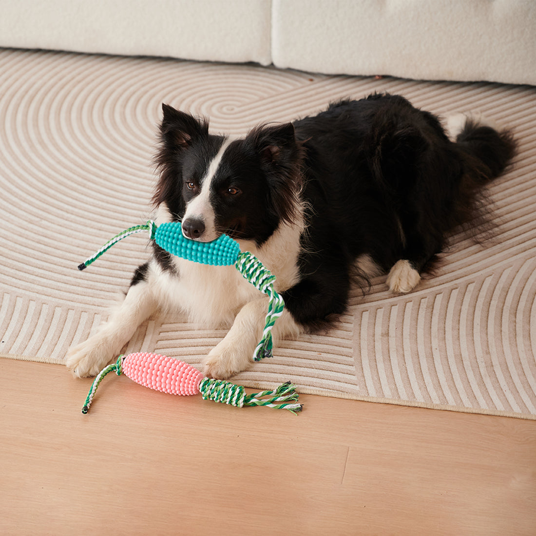 Puppy Interactive Corn Toys