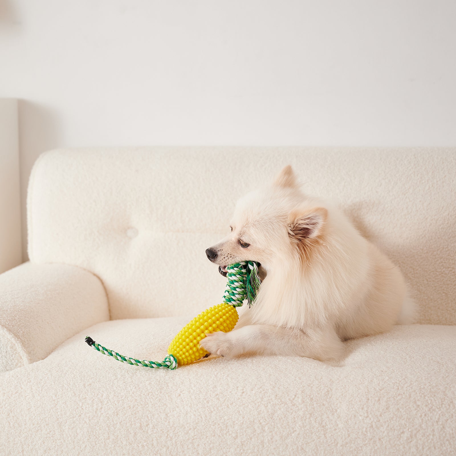Puppy Interactive Corn Toys