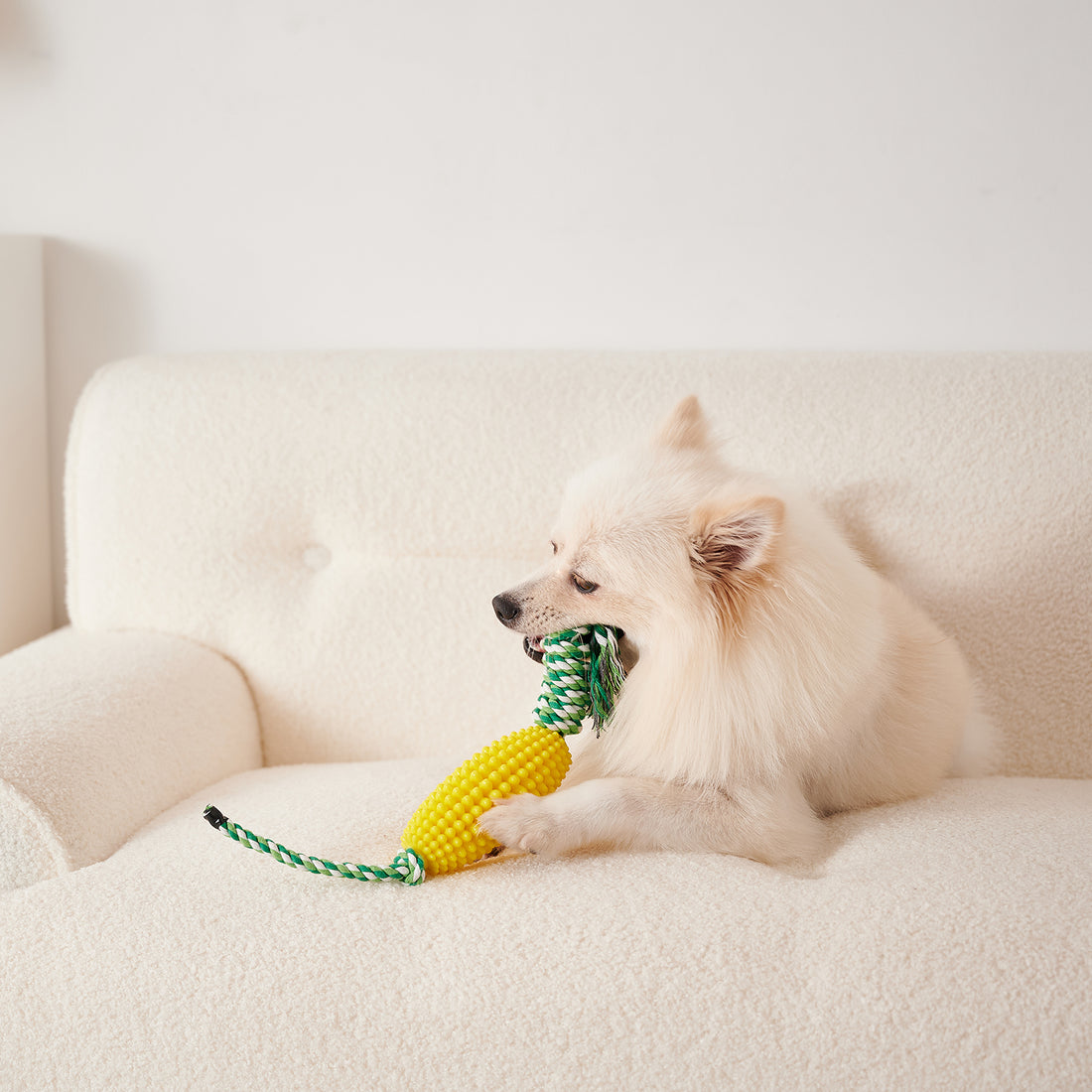 Puppy Interactive Corn Toys