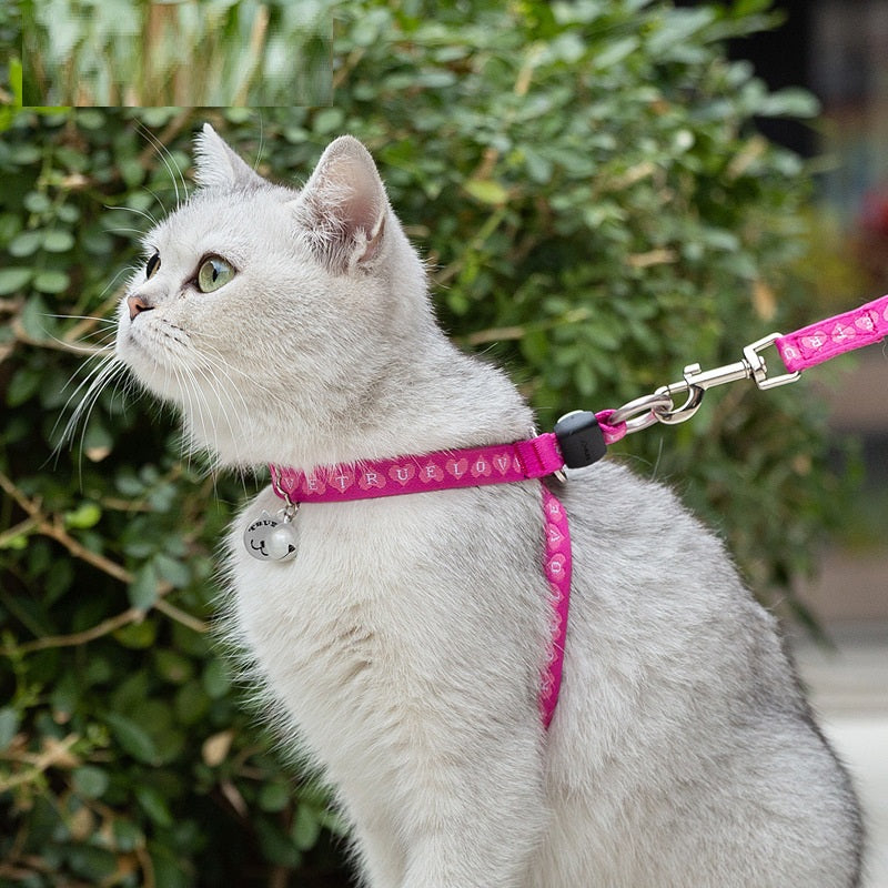 Pet Cat Bell Chest Strap Haulage Leash