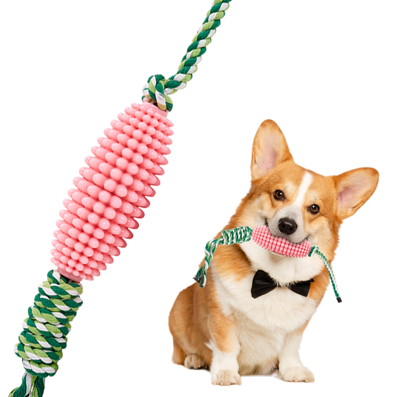 Puppy Interactive Corn Toys