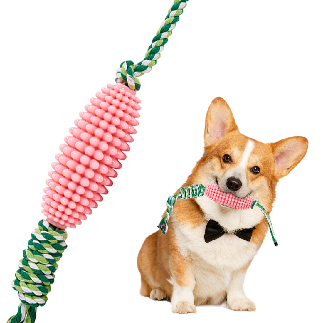 Puppy Interactive Corn Toys